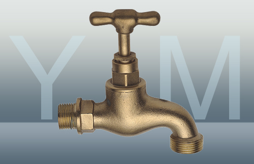 YM-2019