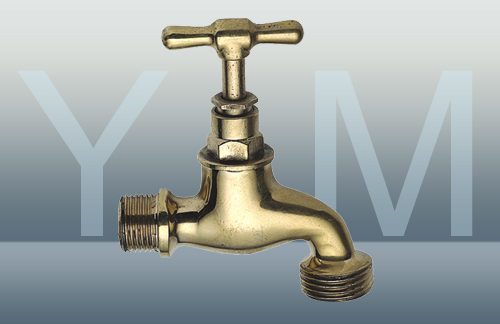 YM-2021