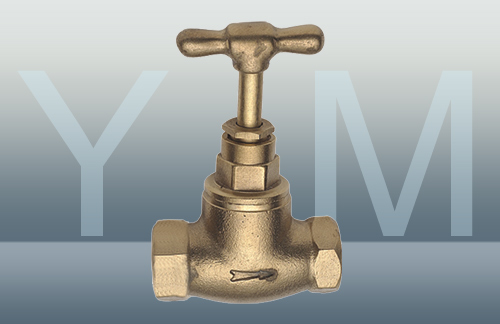 YM-2022