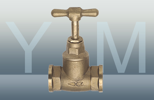 YM-2023