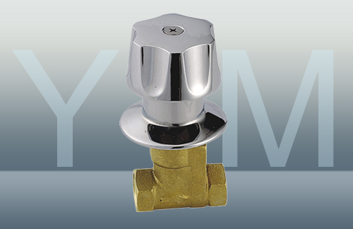 YM-2024