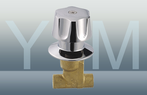 YM-2025
