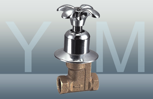 YM-2036