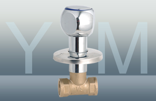 YM-2048