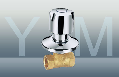 YM-81005